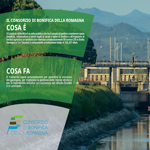 esecutivo BONIFICA 11 07 24